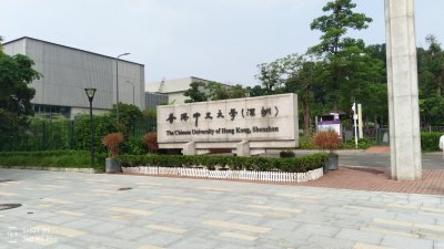 香港中文大学（深圳）DR.TD.6653摆闸项目
