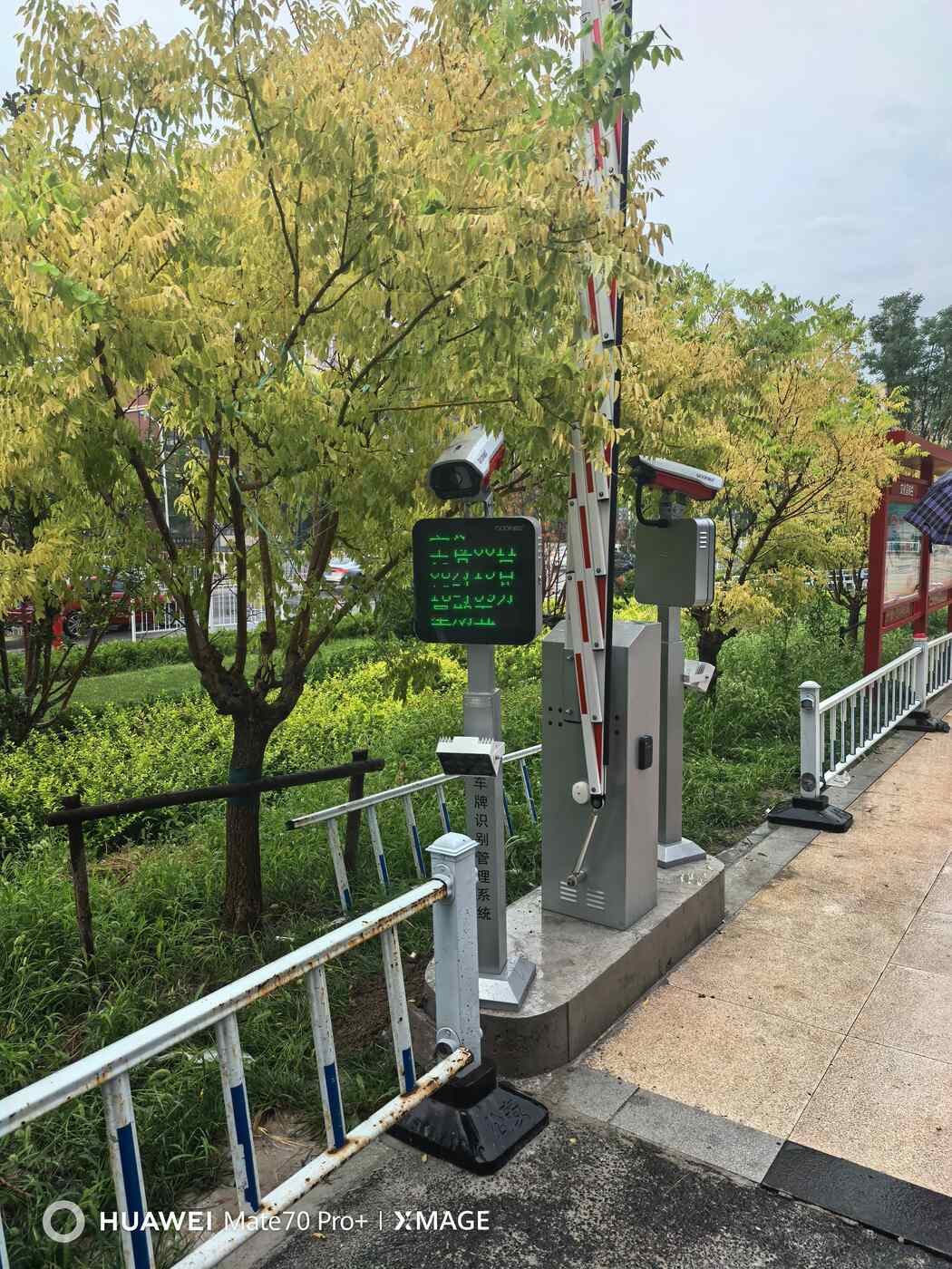天津皓林园现场图2