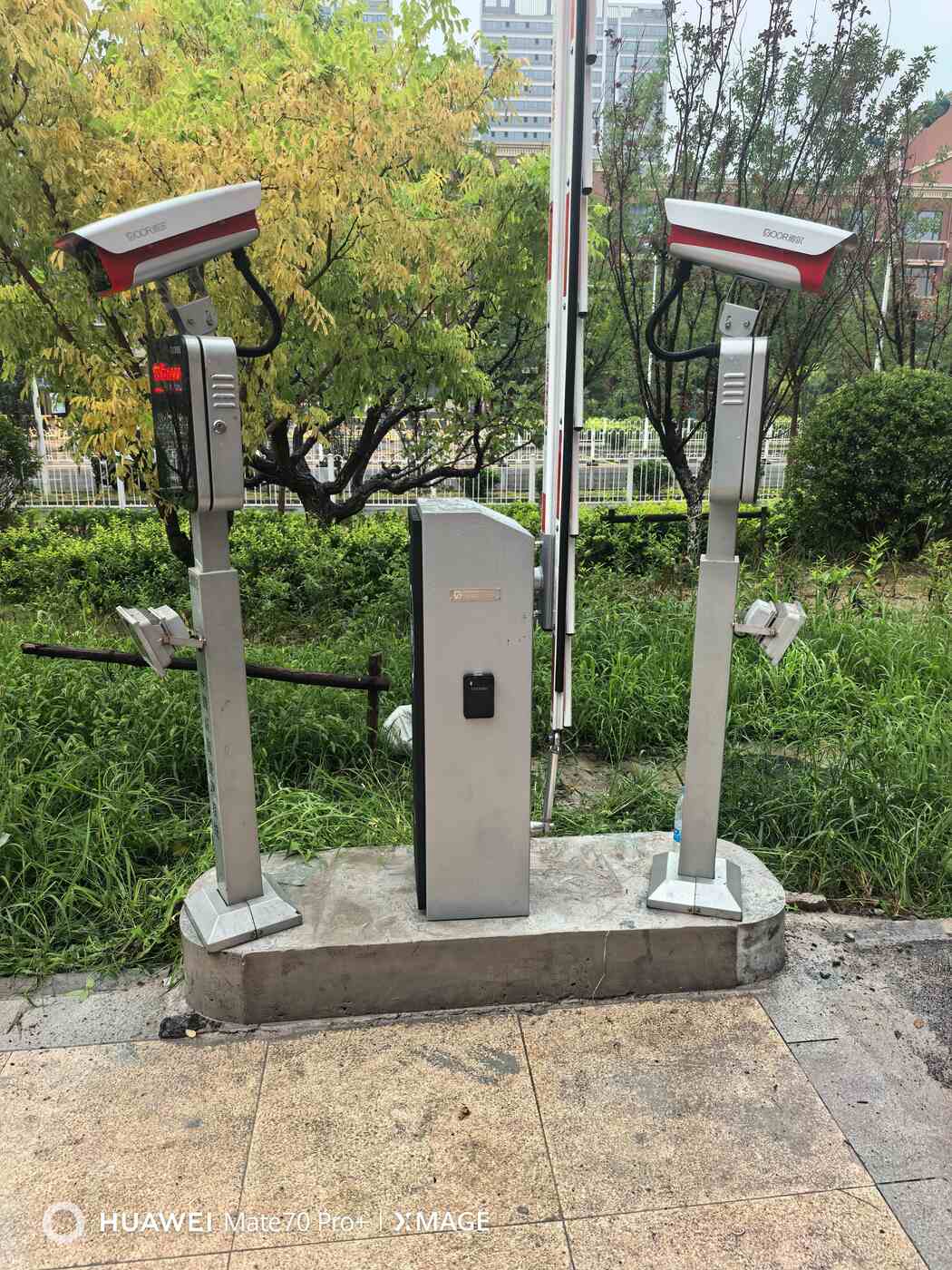 天津皓林园现场图4