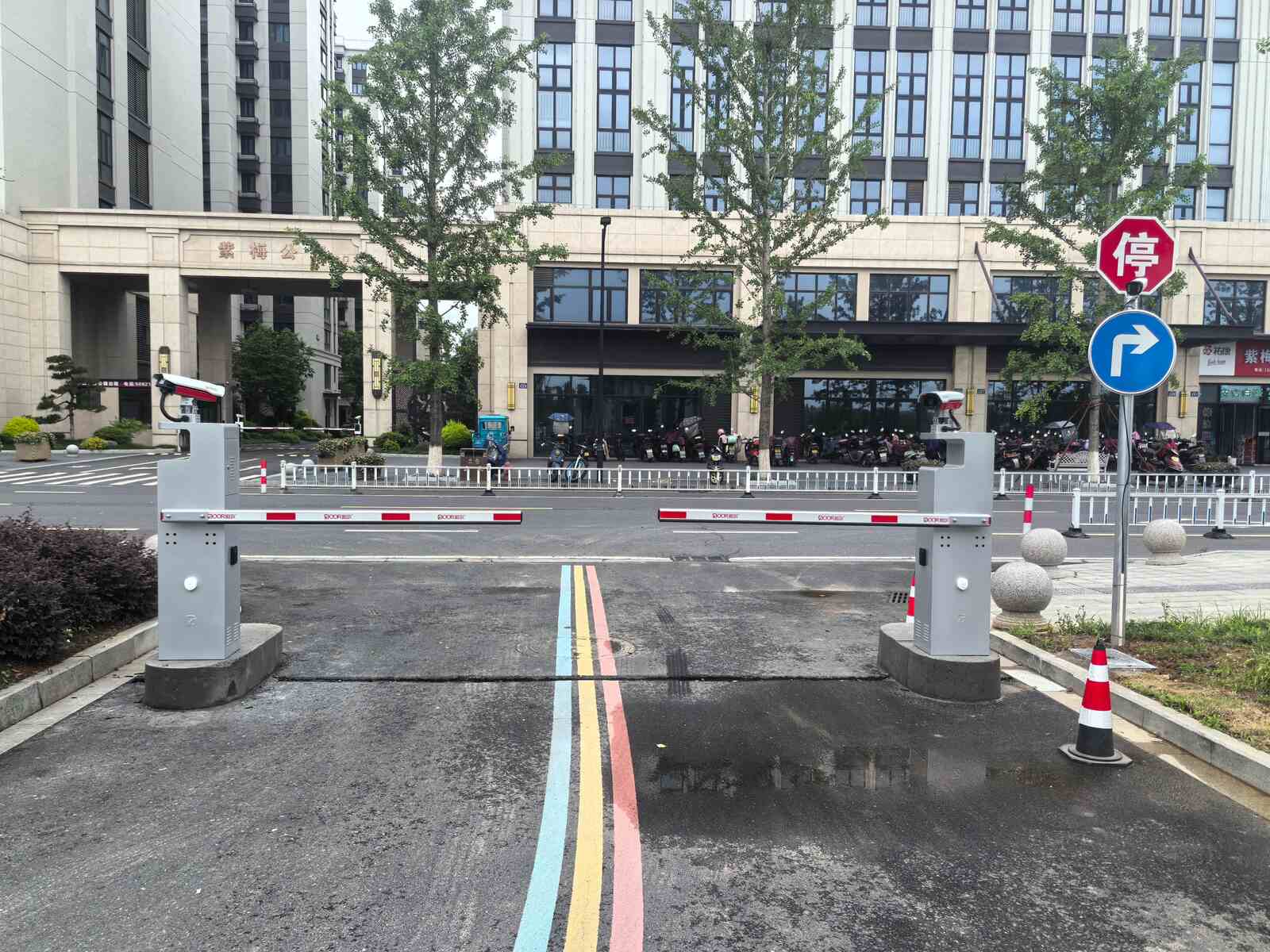 梅溪紫梅公园现场图1