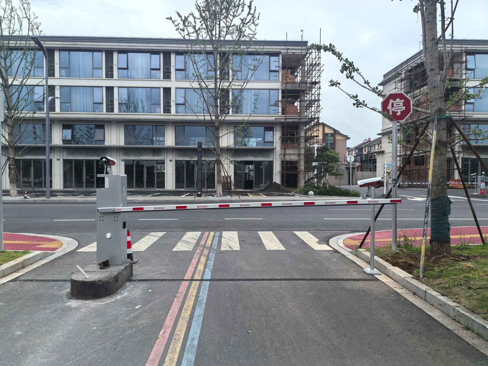 梅溪紫梅公园现场图2