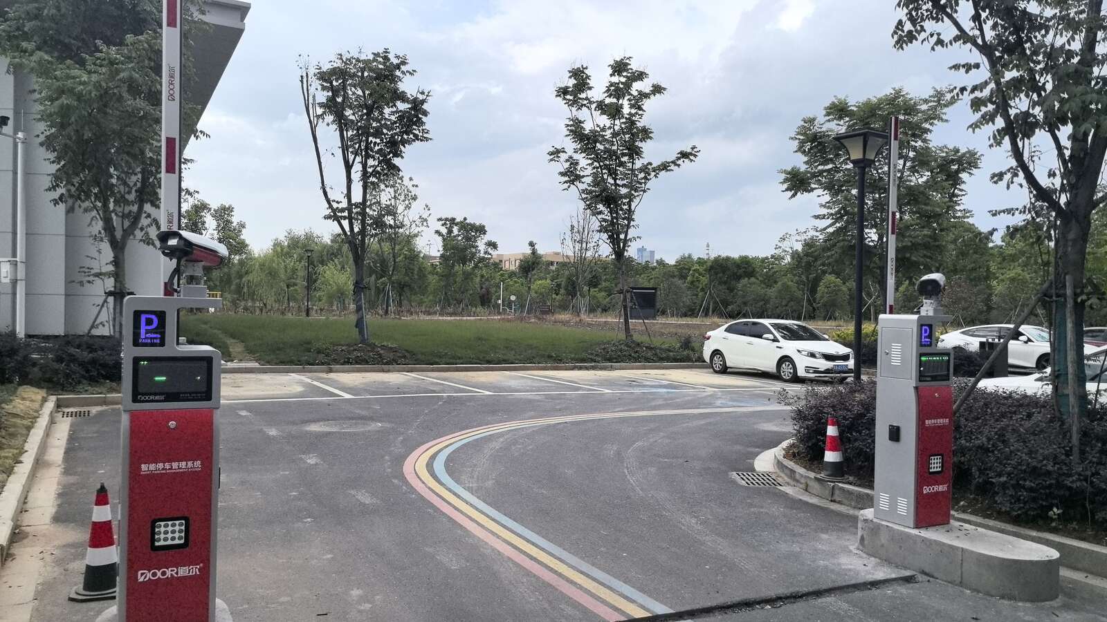 梅溪紫梅公园现场图4