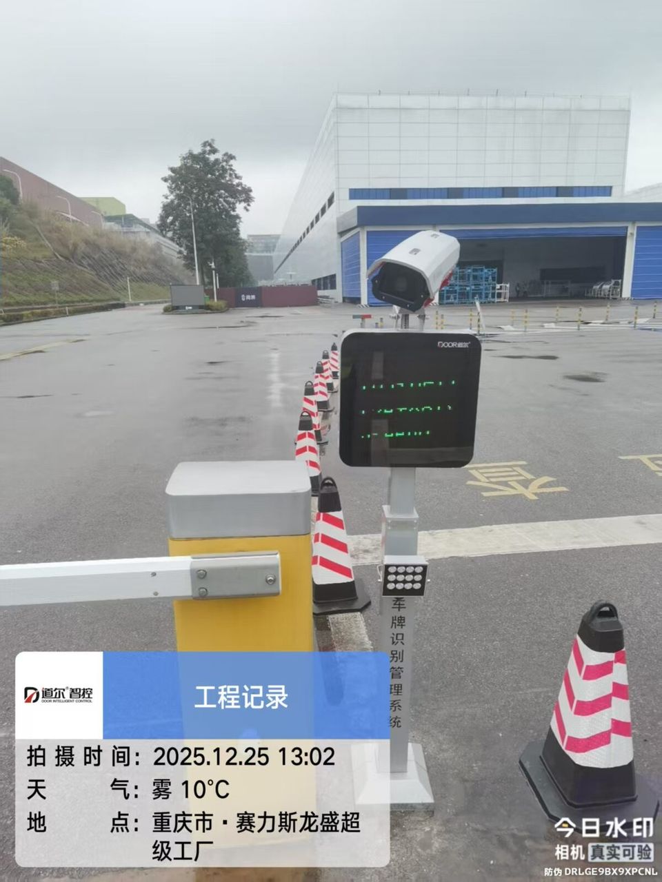 塞力斯1/2工厂现场图4