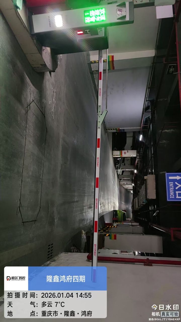 隆鑫鸿府现场图1