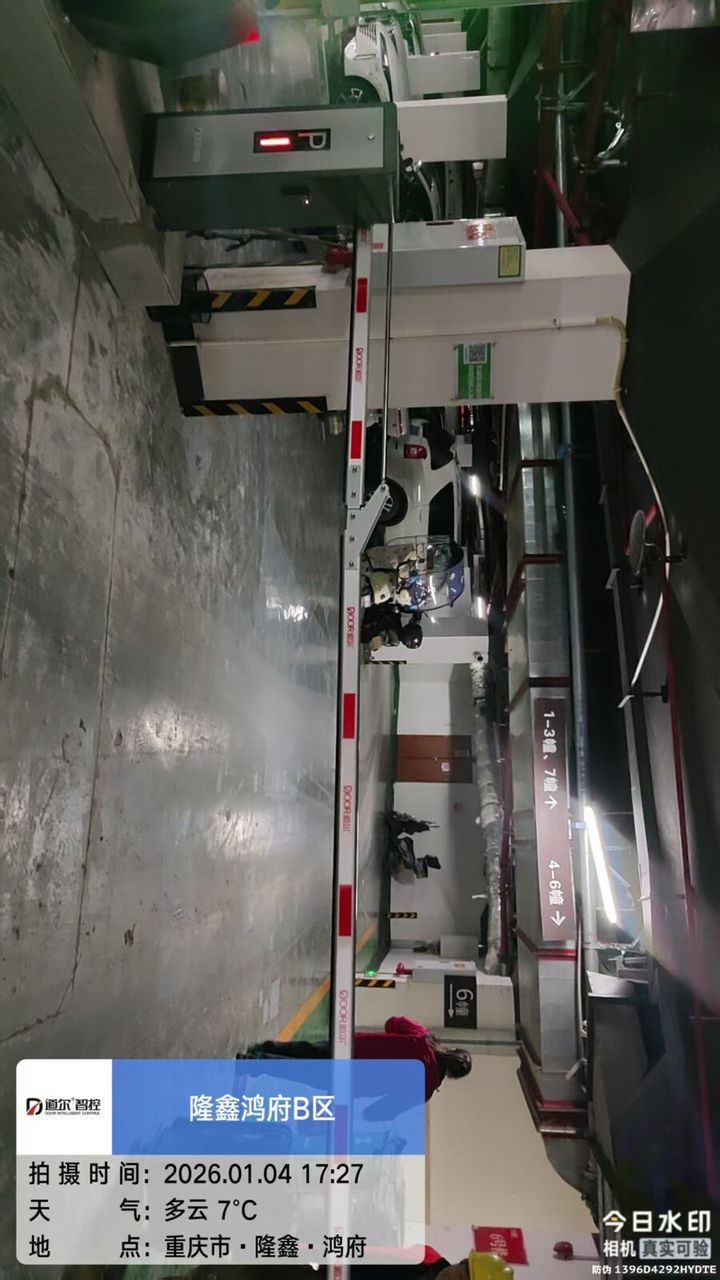 隆鑫鸿府现场图2
