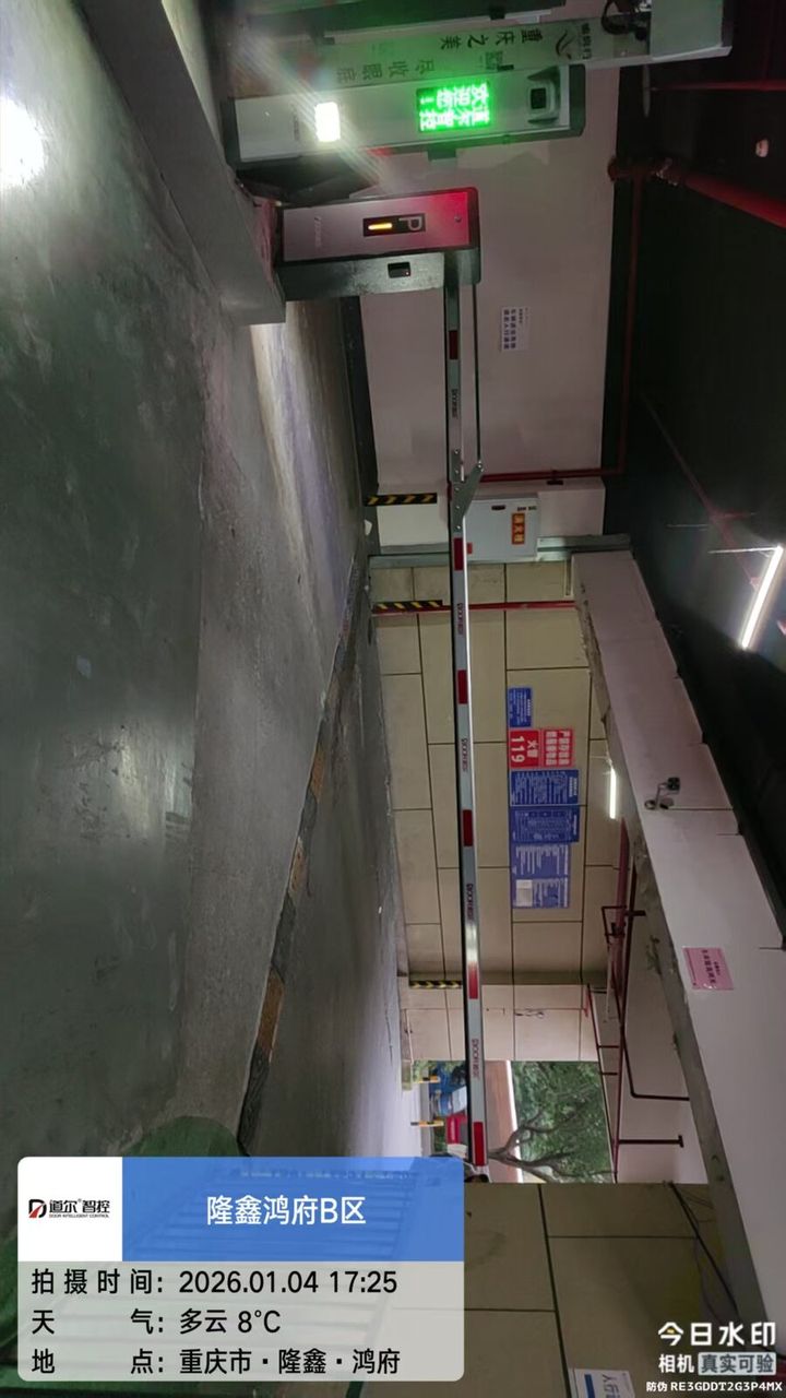 隆鑫鸿府现场图3