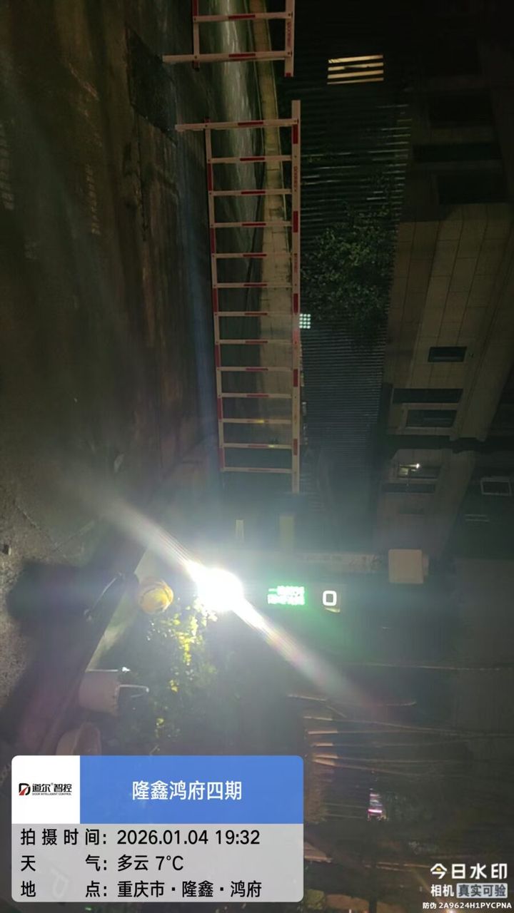 隆鑫鸿府现场图4