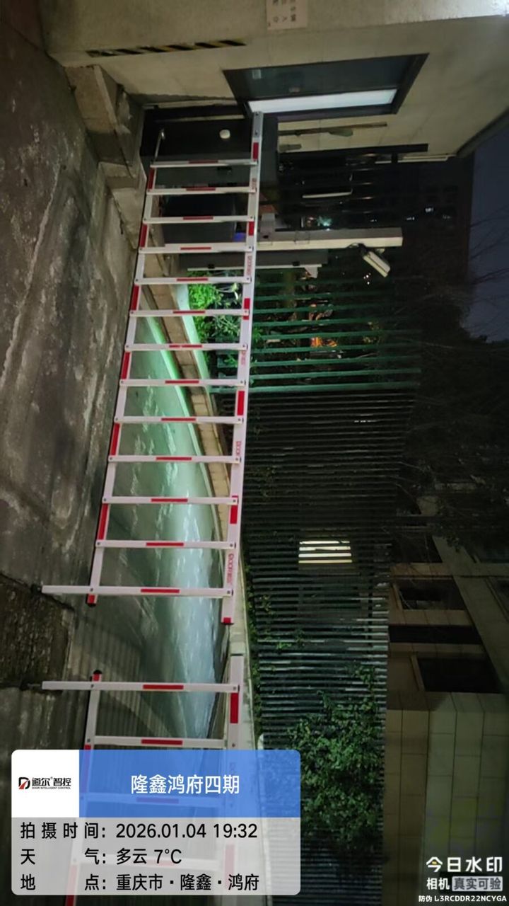 隆鑫鸿府现场图6