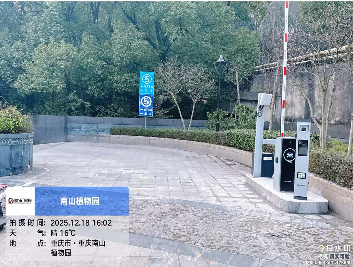 南山植物园现场图3