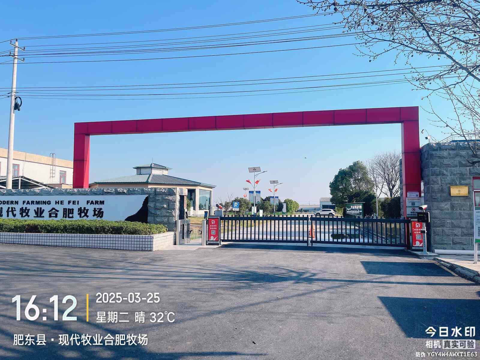 现代牧业合肥牧场