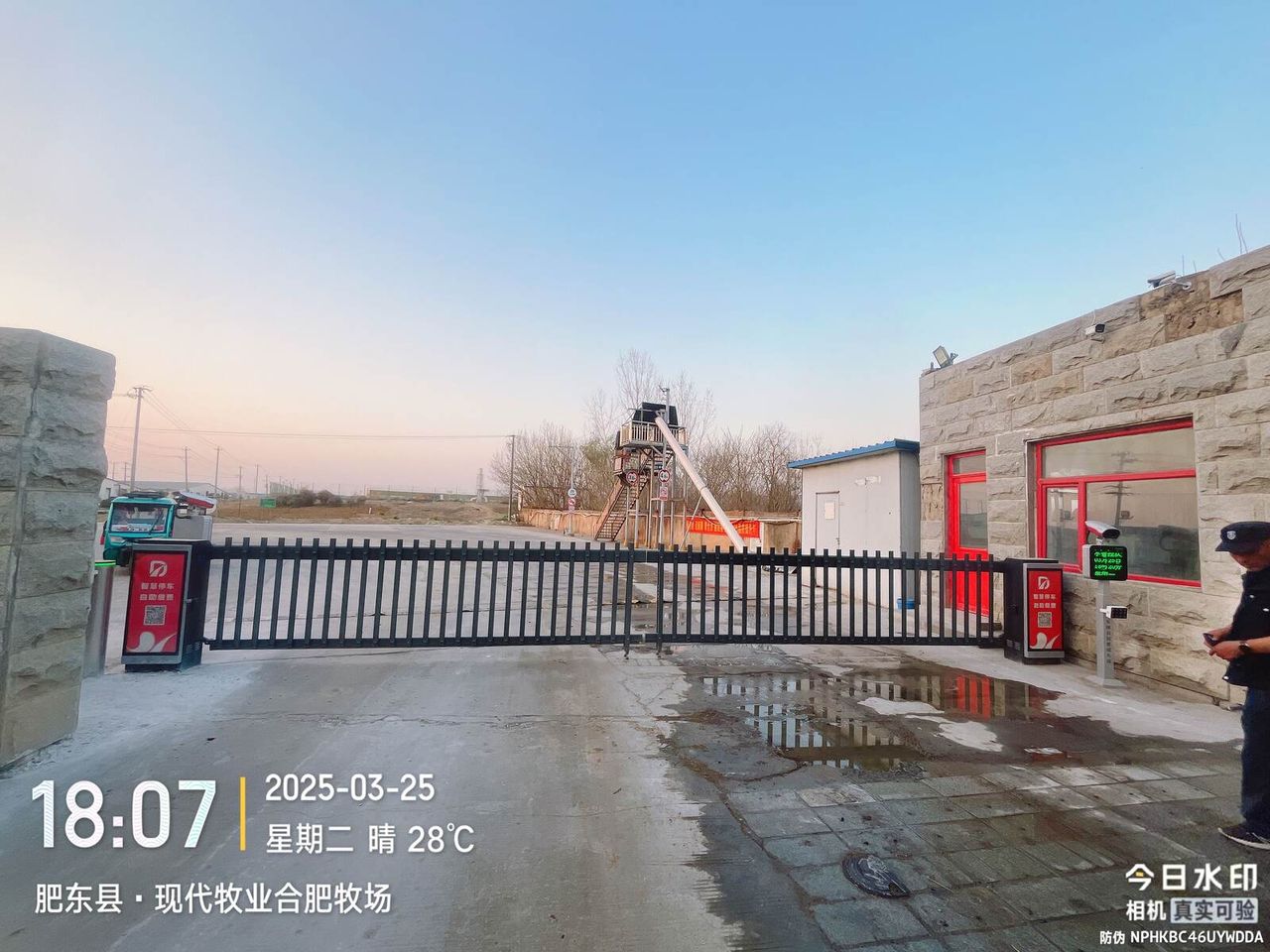 现代牧业合肥牧场现场图2