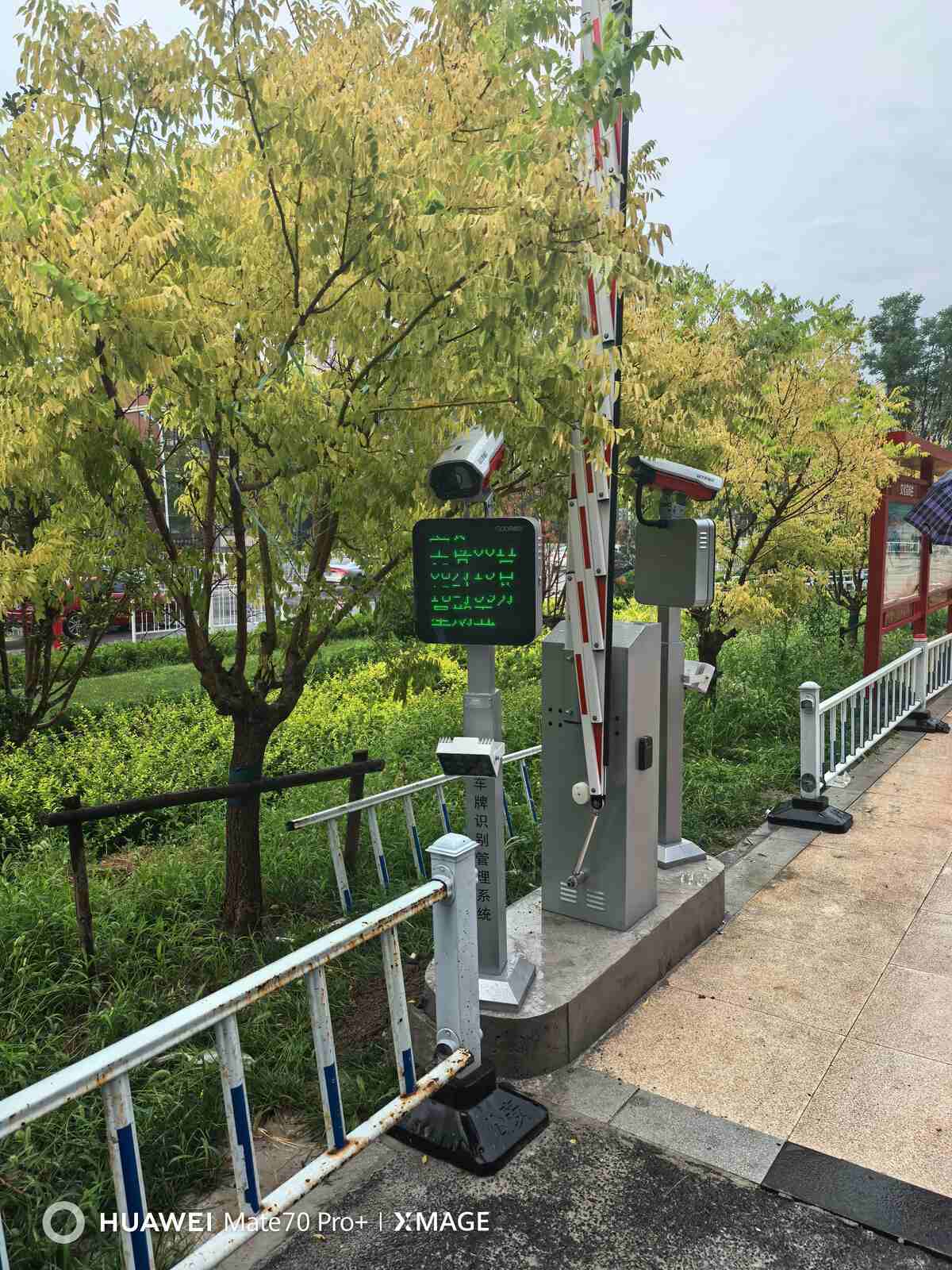 天津皓林园现场图4