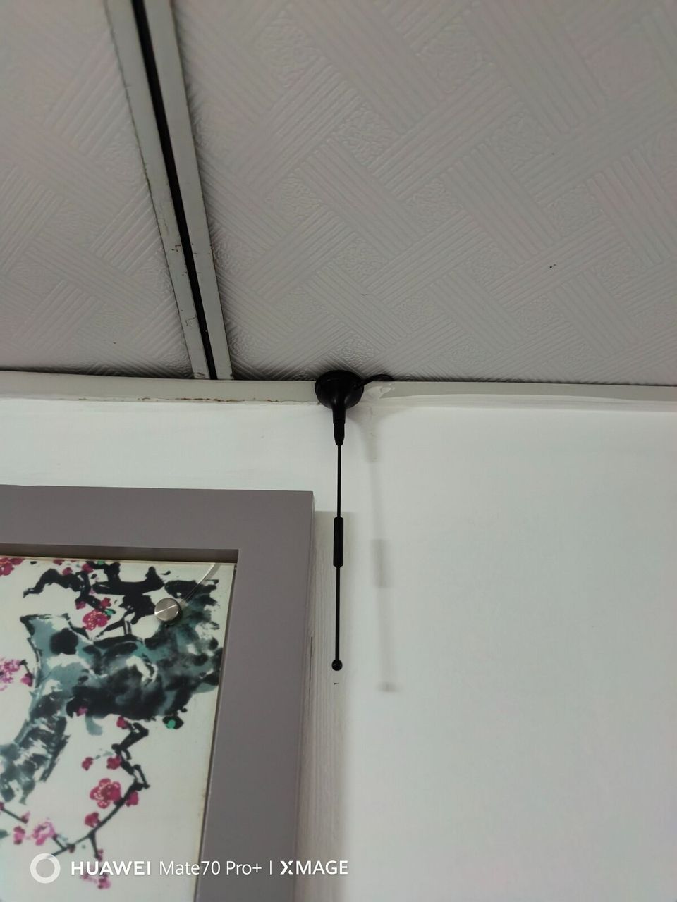 北京市顺义杨镇一中现场图4