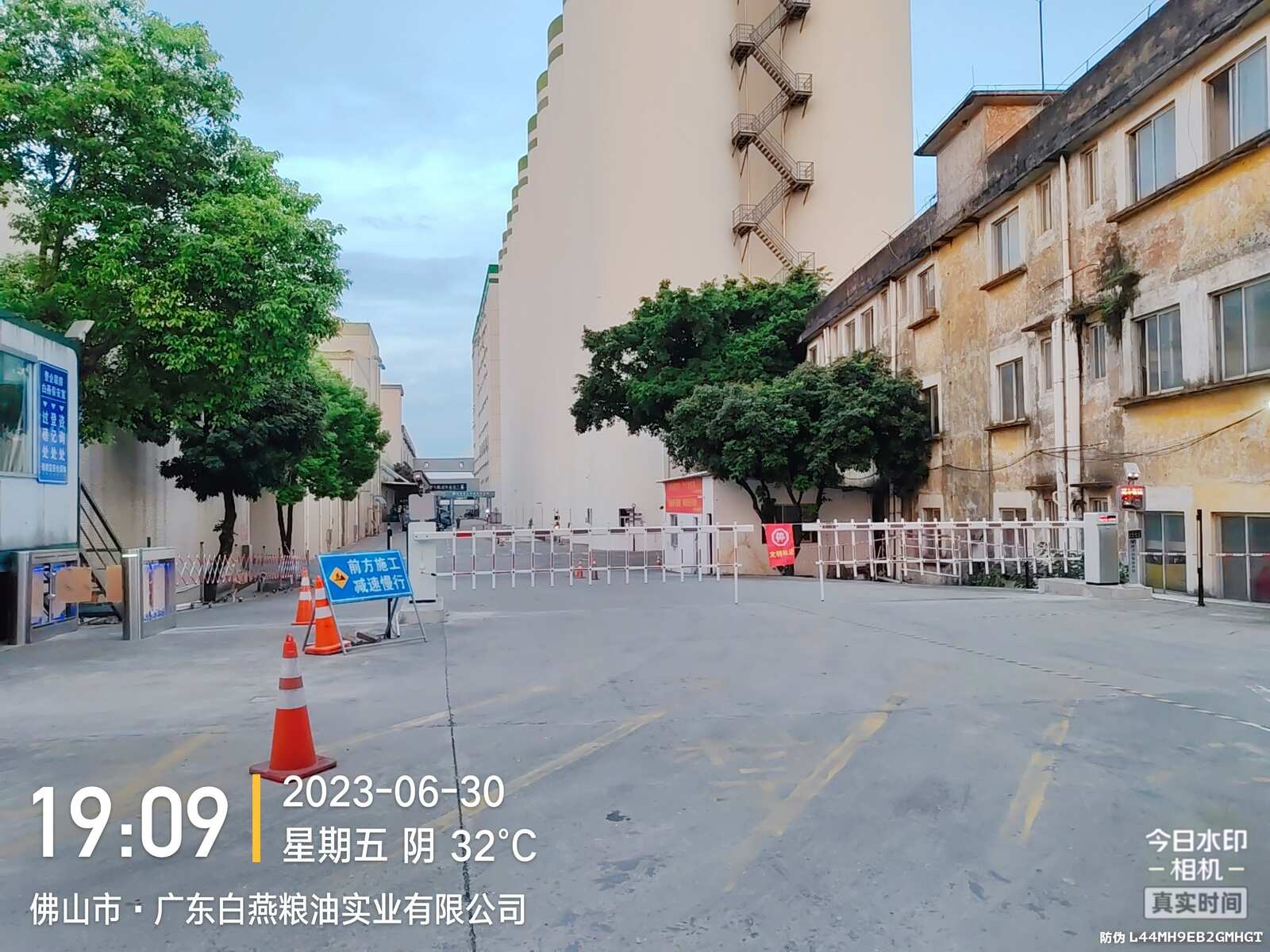 佛山白燕油粮现场图1