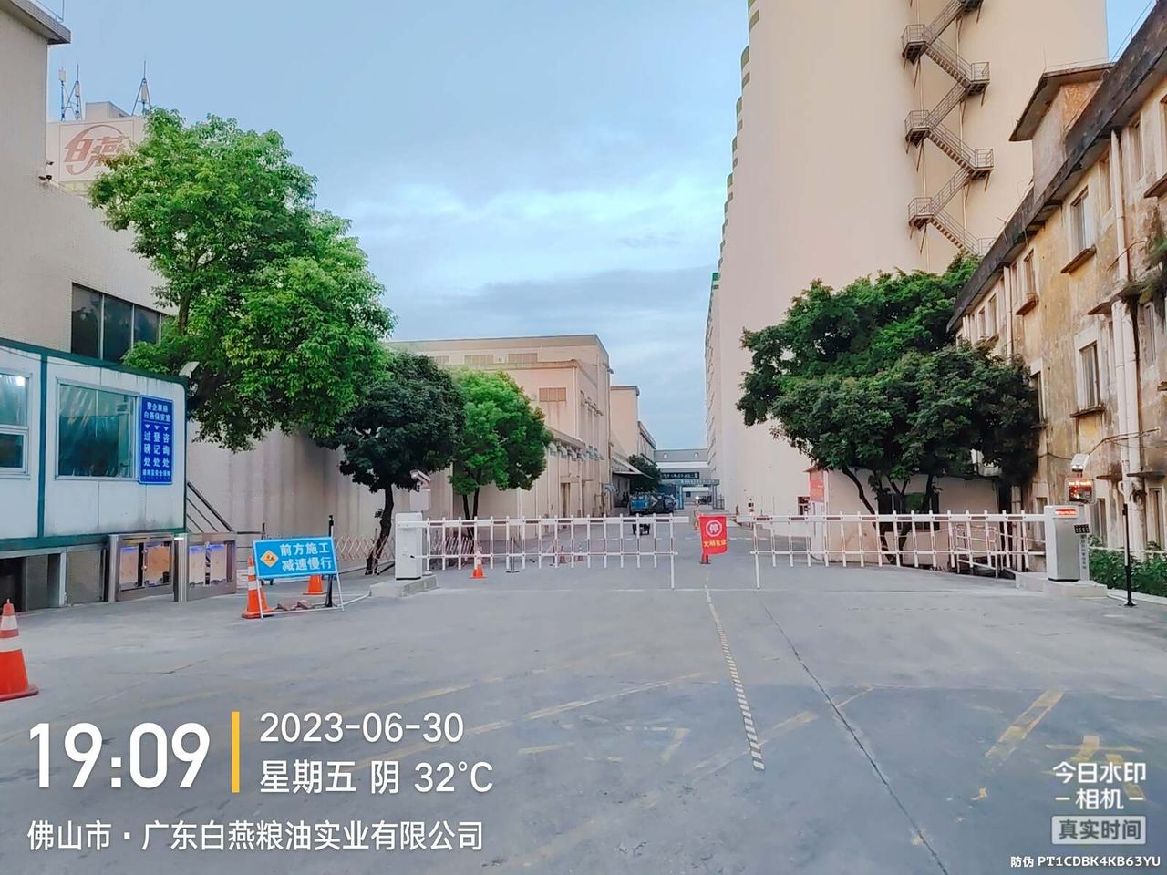 佛山白燕油粮现场图2