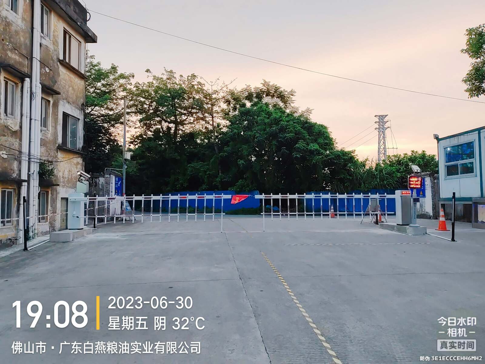 佛山白燕油粮现场图3