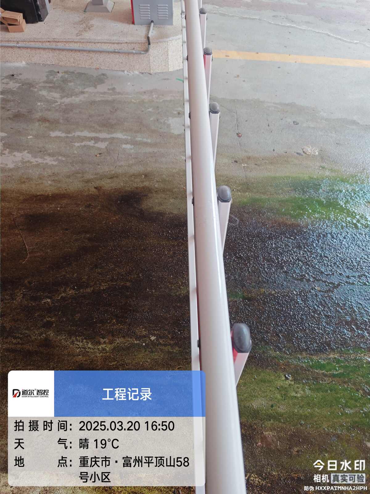富洲平顶山6期北区现场图3
