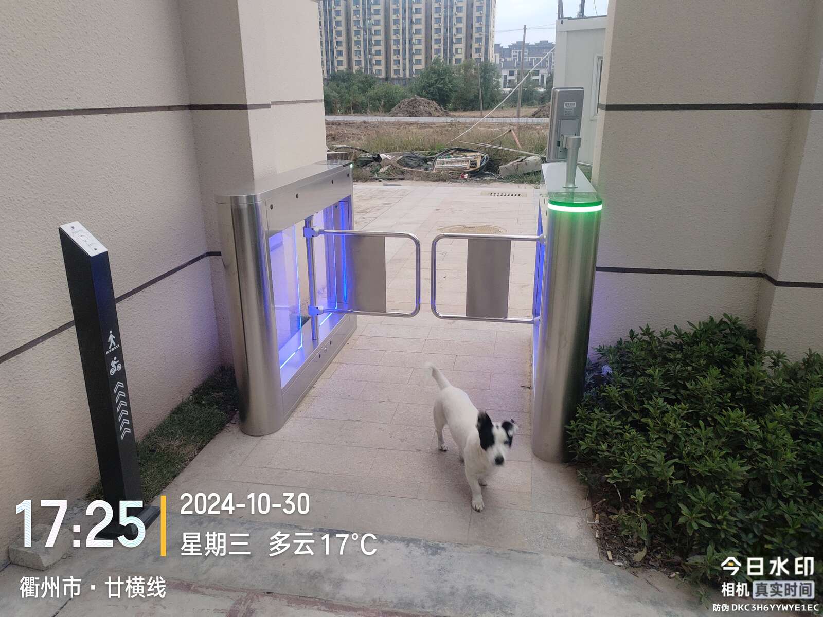 衢江区廿里镇长租公寓项目现场图2