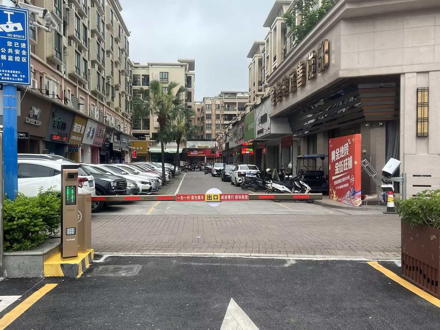 金澳华庭现场图2