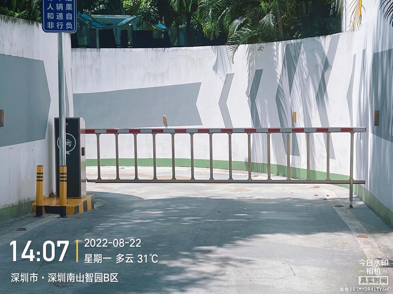 南山智园现场图1