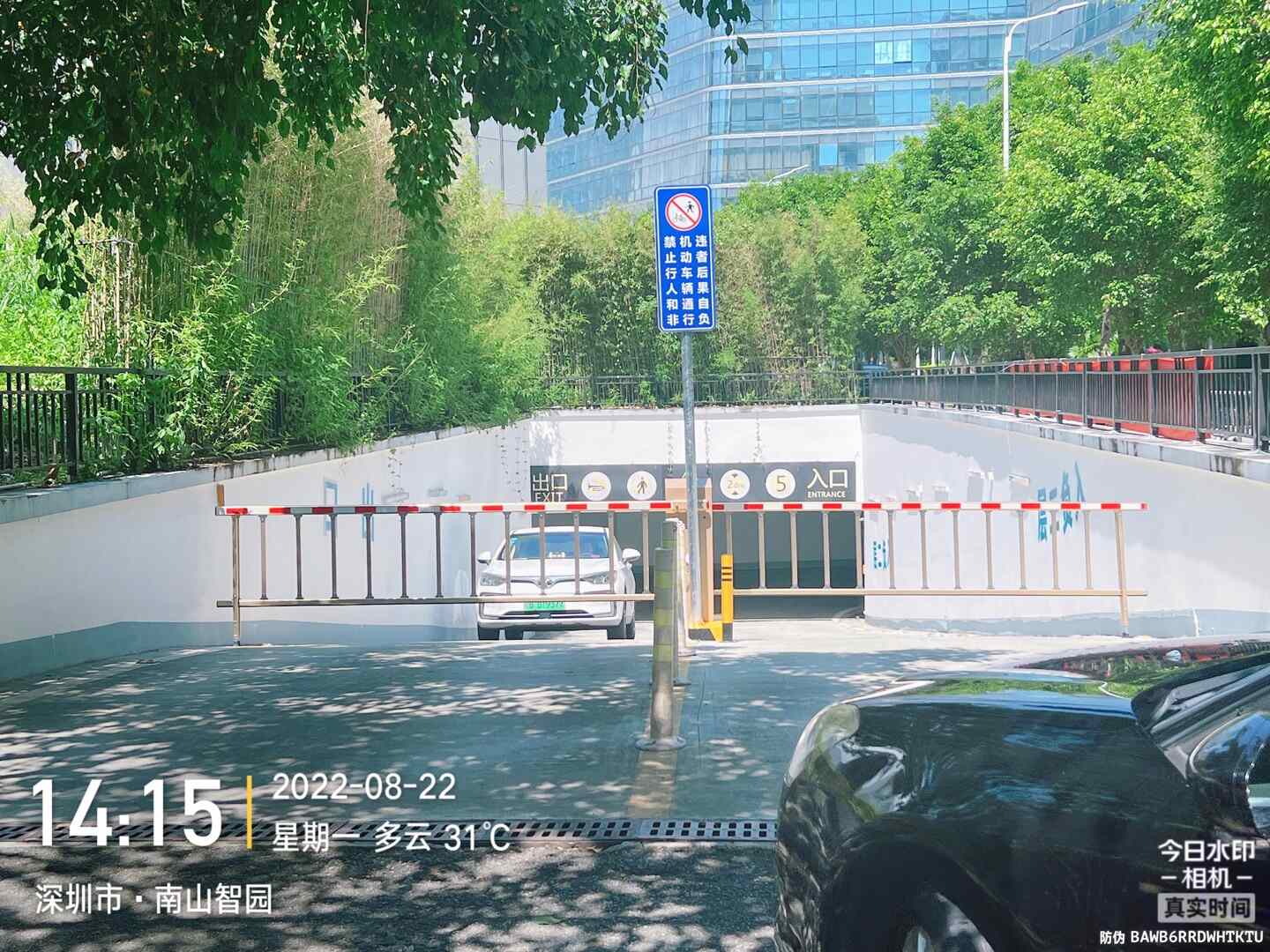 南山智园现场图3