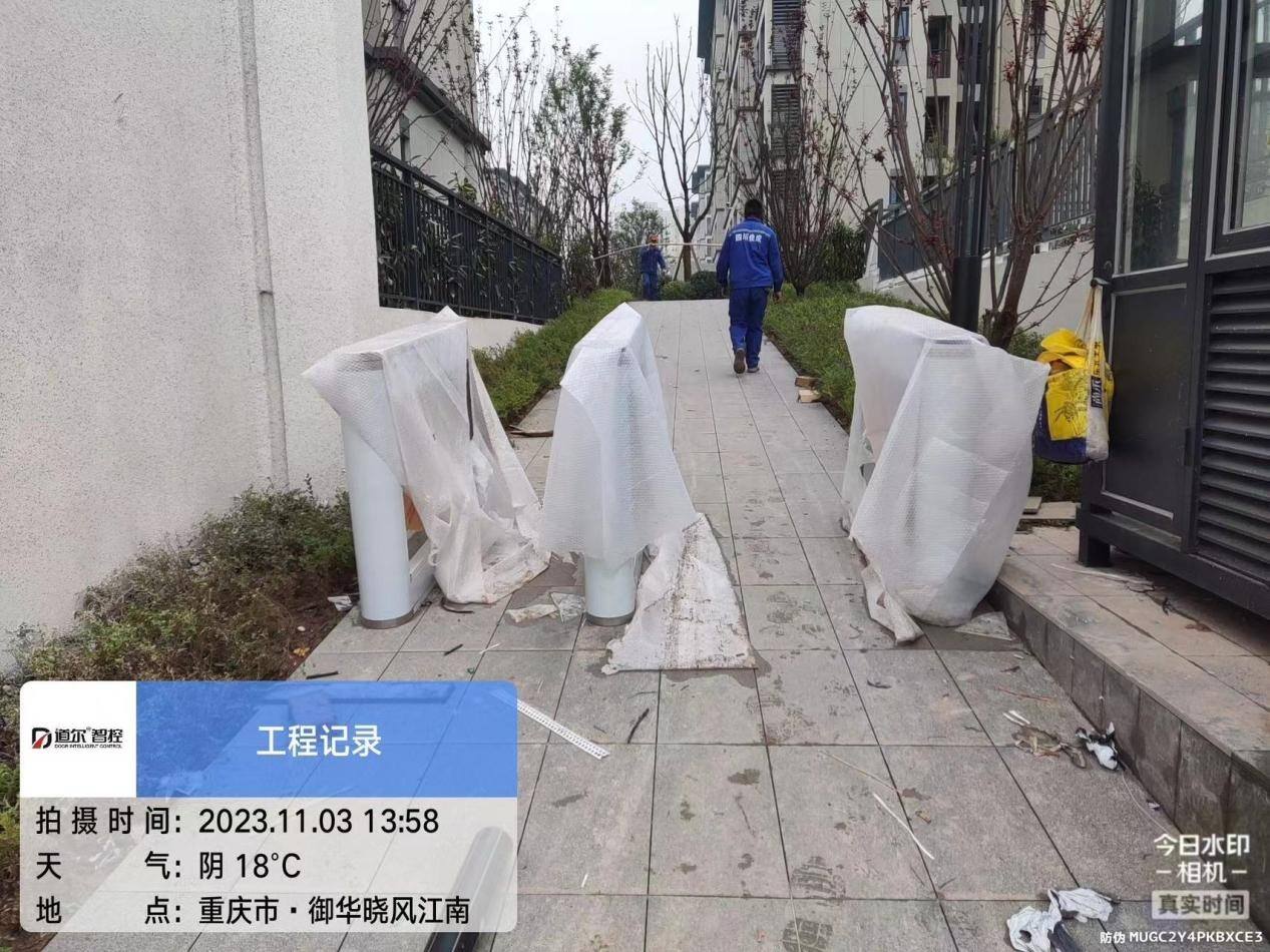 晓枫江南现场图2