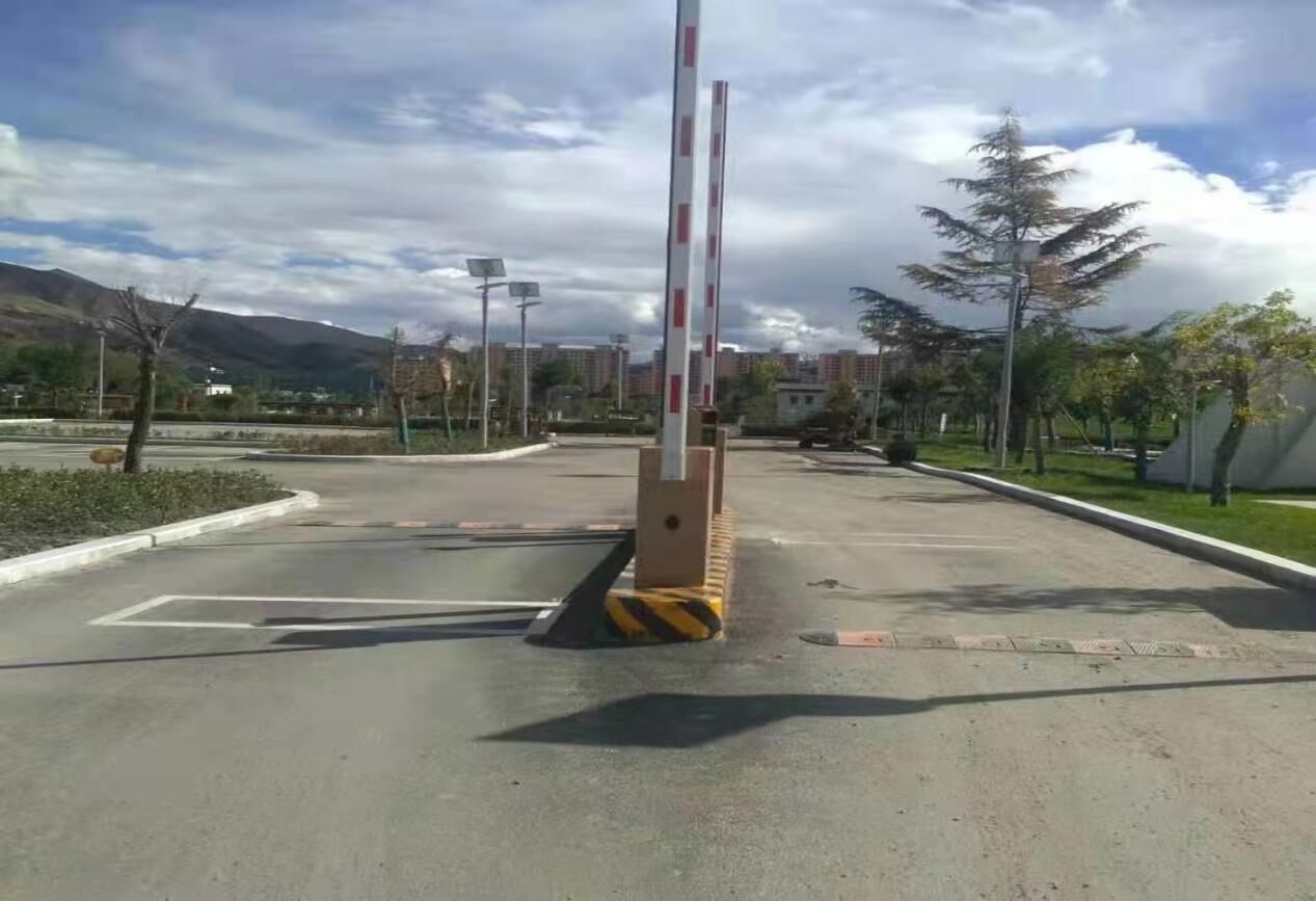 西藏山南绿心公园现场图1