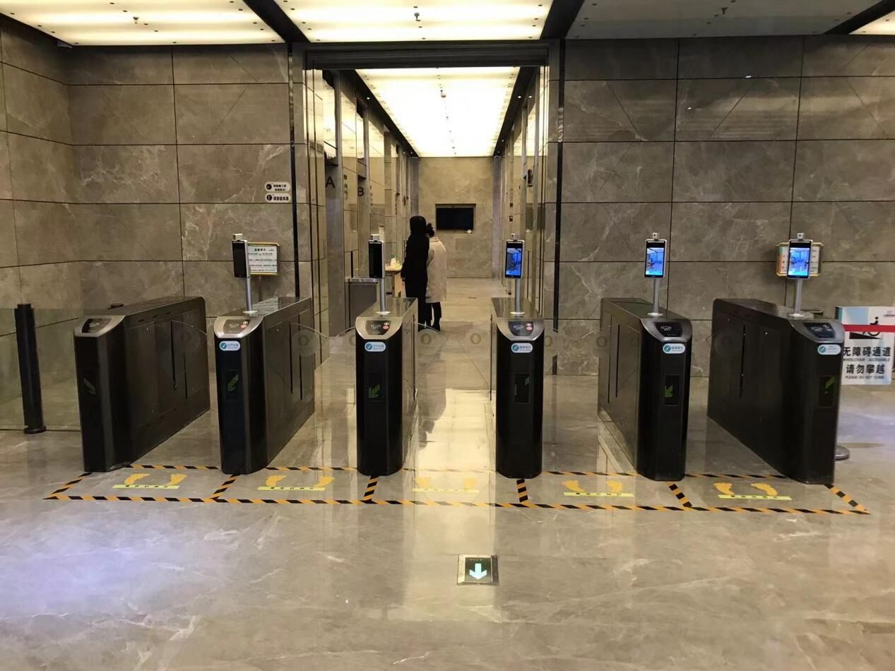 金平果现场图1