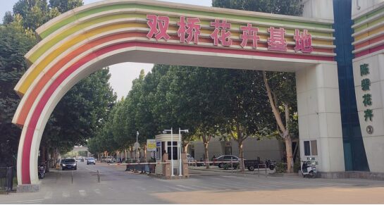 河南双桥花卉基地现场图2