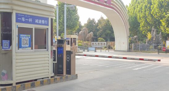 河南双桥花卉基地现场图3