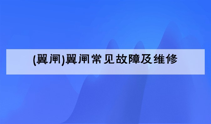 (翼闸)翼闸常见故障及维修