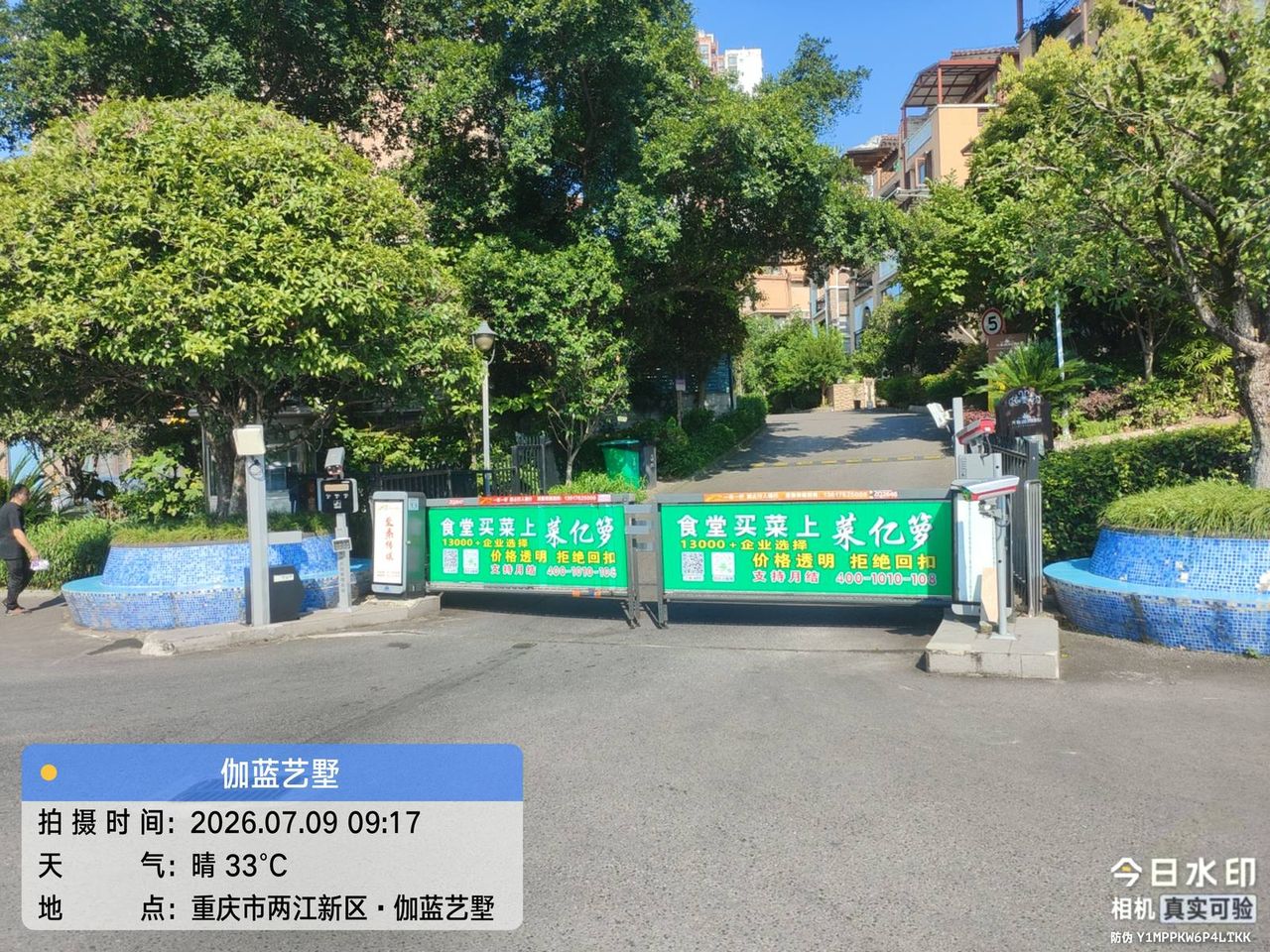 伽蓝艺墅现场图5