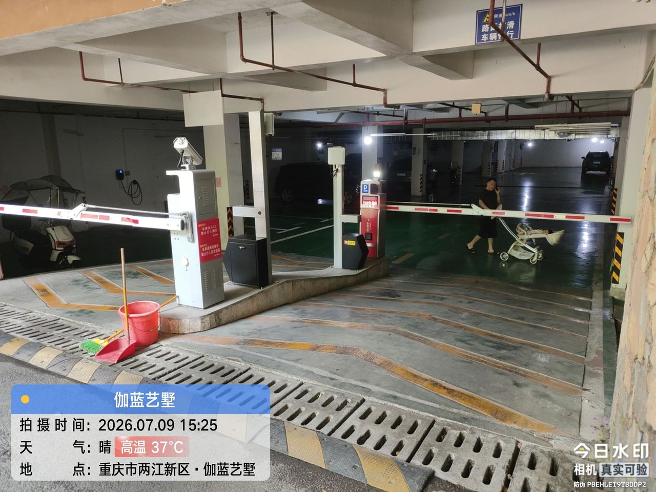 伽蓝艺墅现场图6