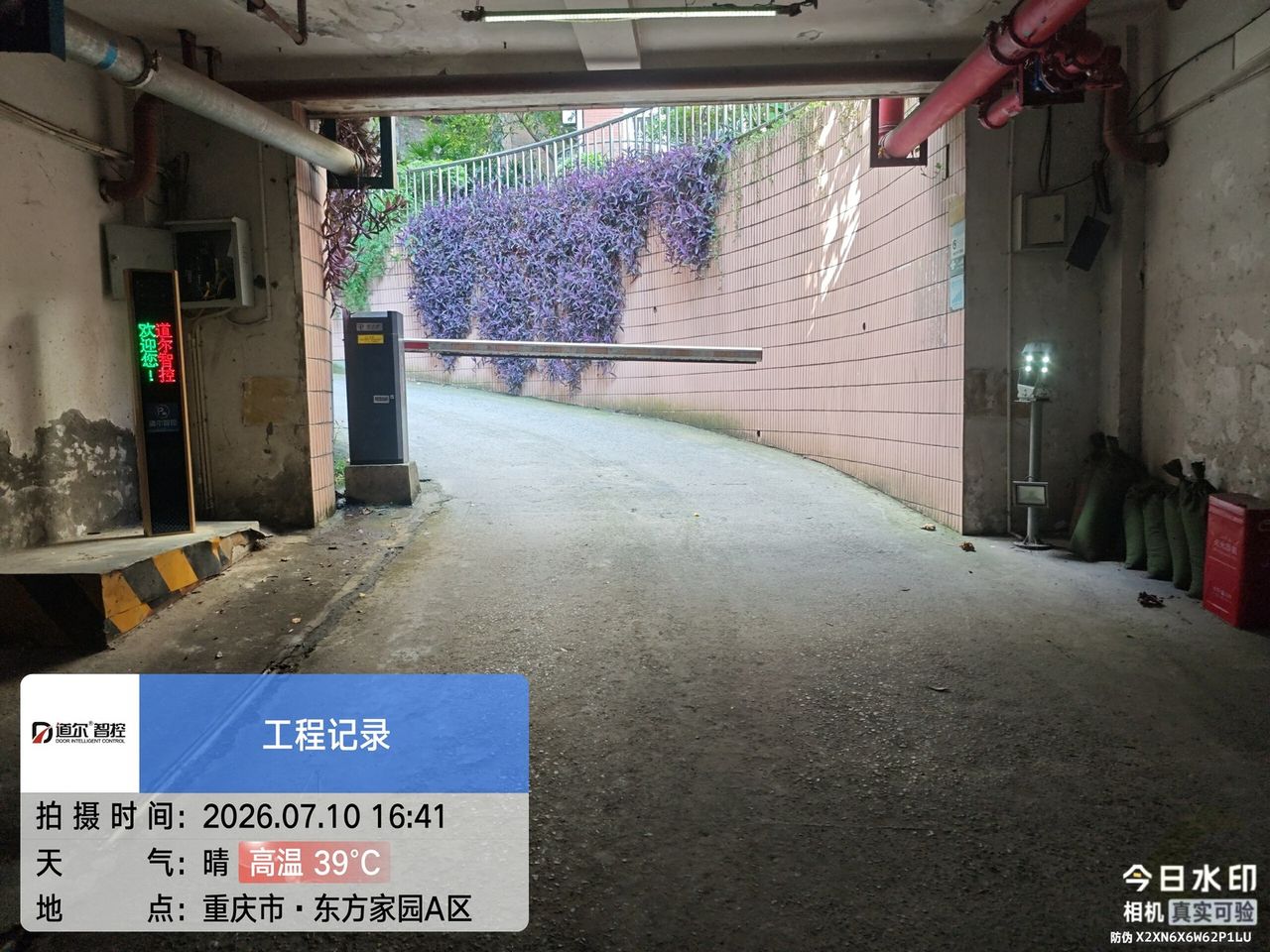 东方家园现场图7