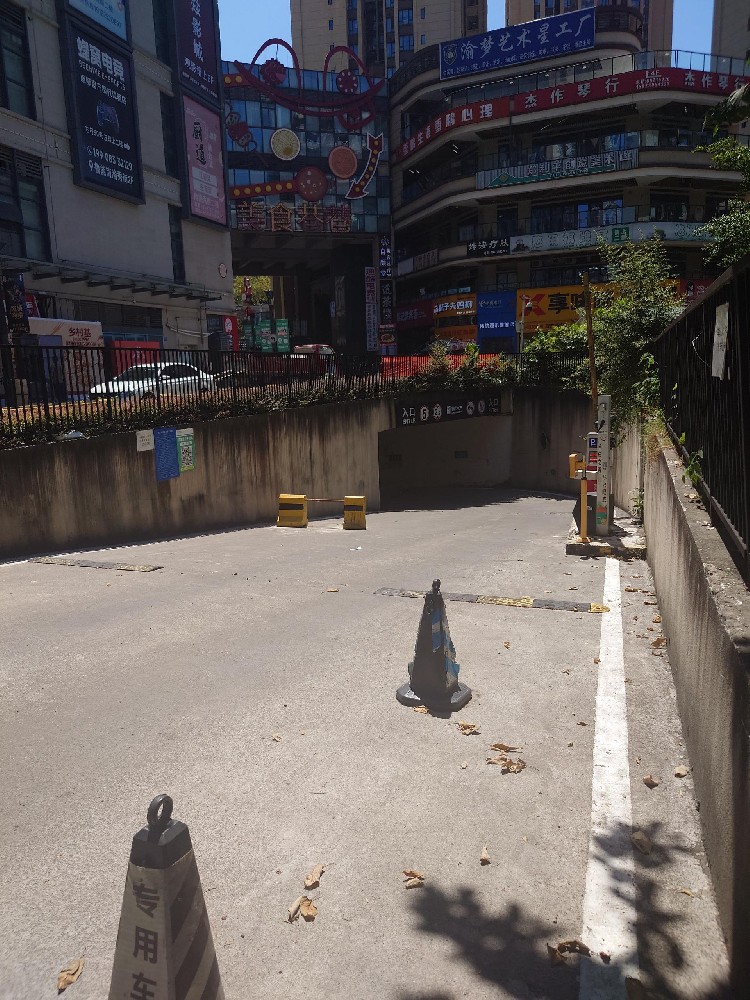 南渝秀街现场图片1