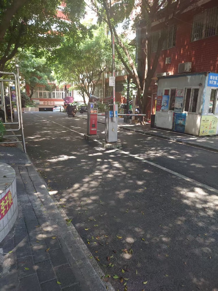 西物市场现场图片1