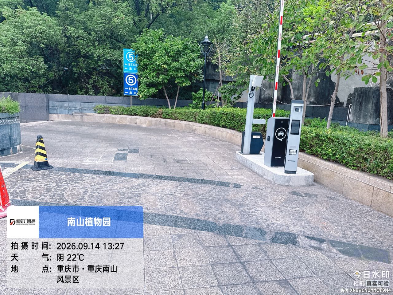 南山植物园现场图片3