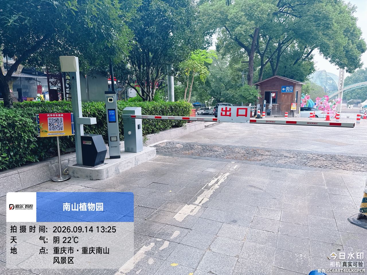 南山植物园现场图片2