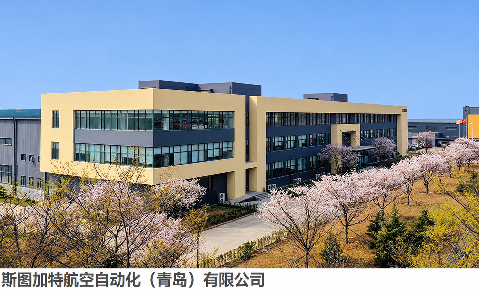 青岛斯图亚特机器人现场图3