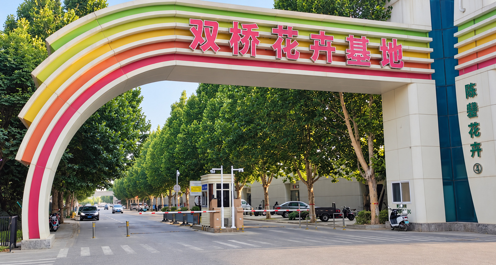 河南双桥花卉基地现场图2
